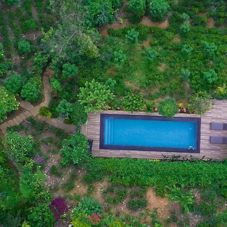 Tea Cabins إيلا المظهر الخارجي الصورة