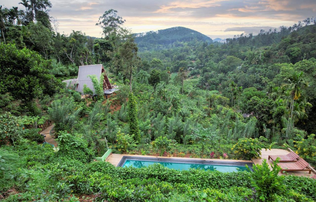 Tea Cabins إيلا المظهر الخارجي الصورة
